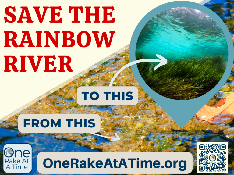 A River Worth Fighting For: Help Is Finally Coming to Rainbow River