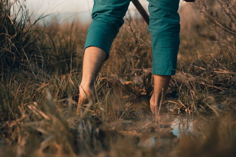 man wading barefoot in a wetland with a spade